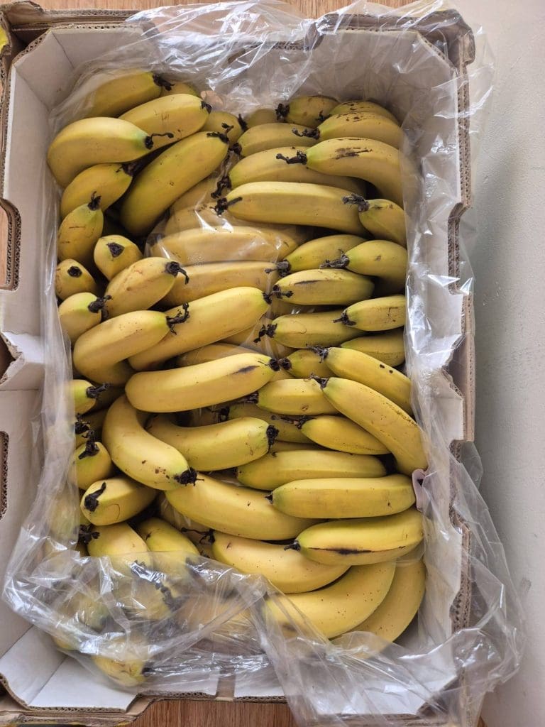 629176137 1494071446095823 6321057153217141150 n